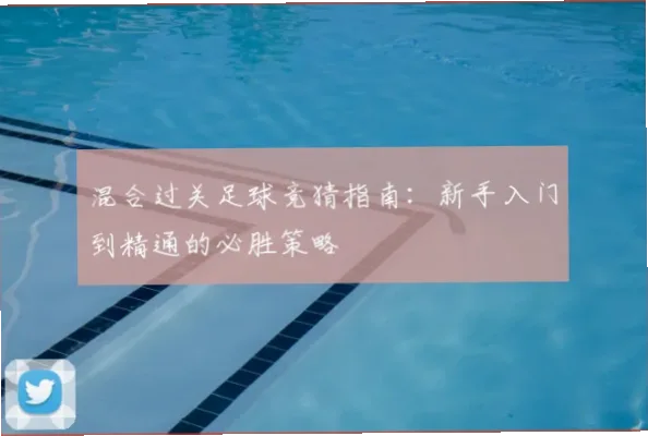 足球竞猜新手入门指南